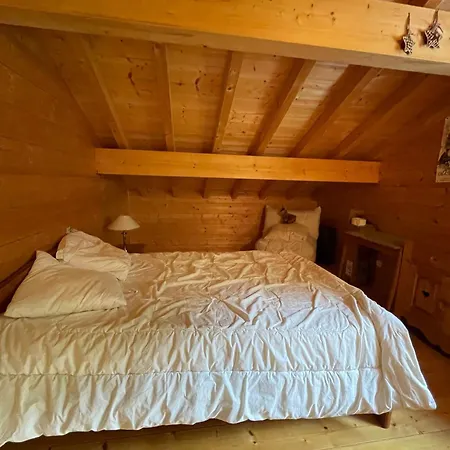 Chalet Spacieux Avec Garage Prive, Animaux Acceptes, Terrasse Et Jardin, Ideal Pour Familles ! - Fr-1-692-101 *